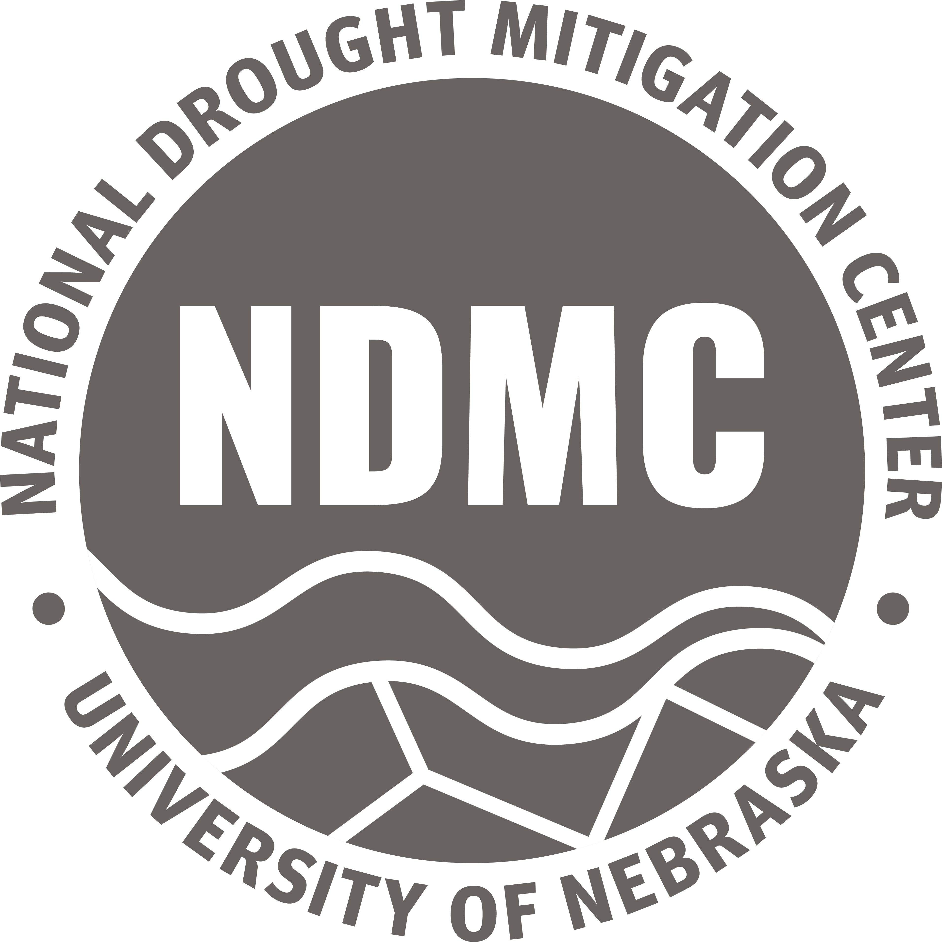 NMDC Logo