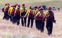 Photo of firefighters walking in line