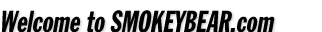 Welcome to Smokey Bear.com