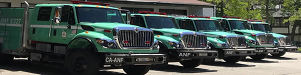 a row of Angleles National Forest green fire engines