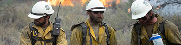 Three Folsom Lake Veterans Crew Members in fire gear on a fire