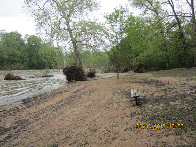 (image) River front area covered with mud and debris.