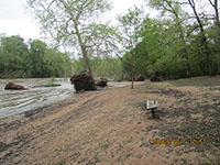 (image) water front with debris covered.