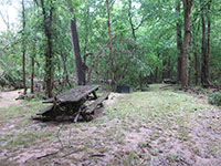 (image) Day use area covered with mud and debris
