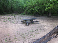 (image) Day Use Area mud covered