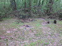 (image) Picnic site covered with debris pedistol grill uprooted 