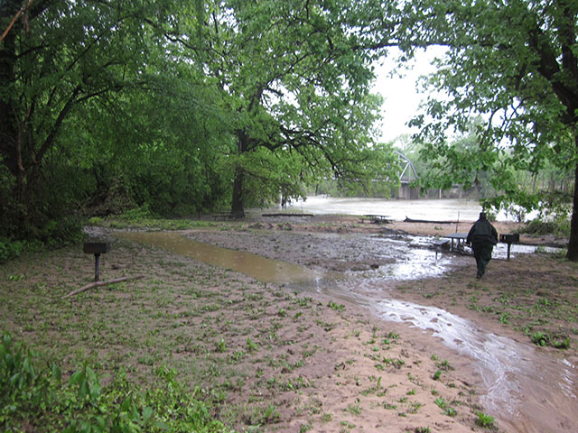 (image) Sites covered with mud and debris
