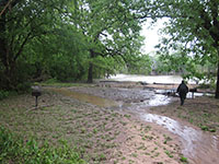 (image) Sites covered with mud and debris