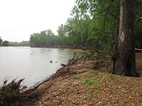 (image) River bank with debris