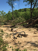 (image) Day use area covered with debris and downed trees.