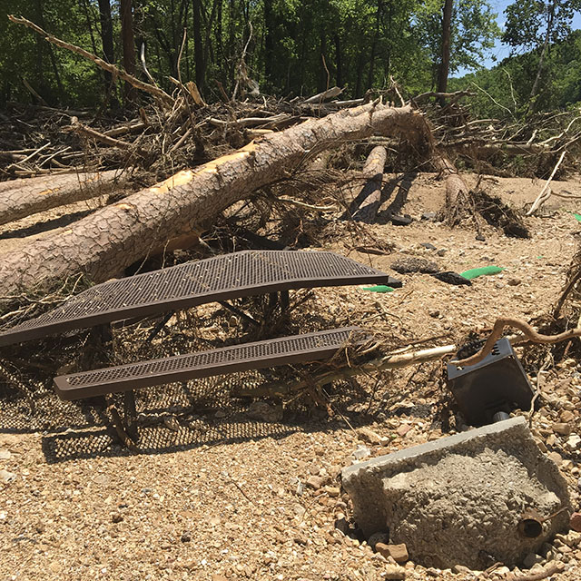 (image) Day Use area covered with down timber and debris 