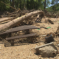 (image) Day use area covered with debris and downed trees.