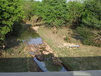(image) Thomasville access road washed out with debris.