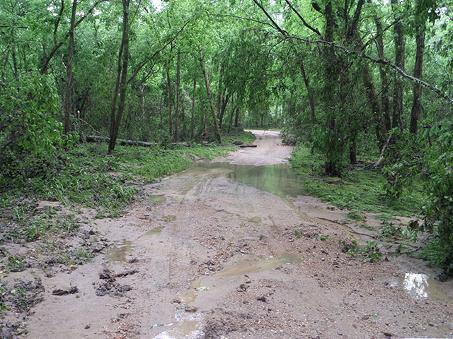 (image) Access road washed out with debris