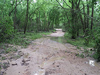 (image) Thomasville access road washed out with debris.
