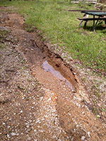 (image)  Soil eroded along road bed.
