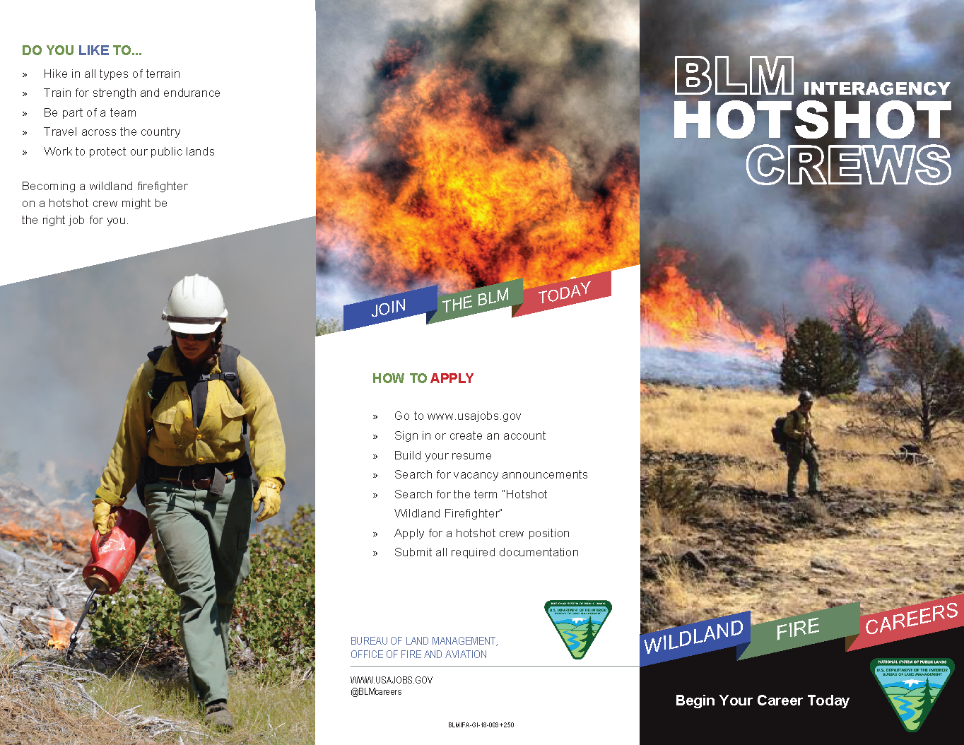 Hotshot Crews Brochure