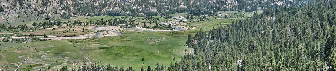 Levitt Meadows