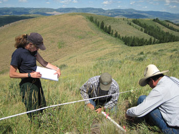 Monitoring a plot