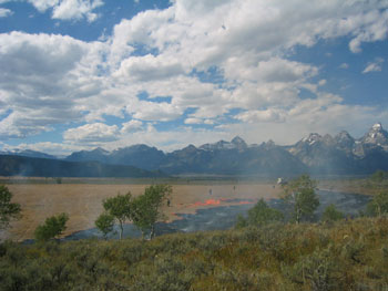 Fire effects monitor's view of a prescribed fire