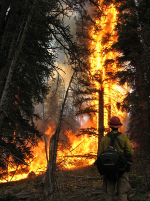 Fire Effects Monitor on the 2011 Red Rock Fire