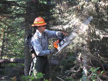 Dan Duffy cutting at Colter Bay