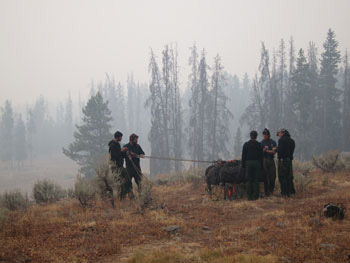 TFM crew on North Buffalo Fire