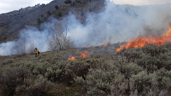 Teton Interagency Fire Dispatch Center