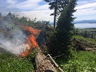 Eagle's Rest Fire, July 4 2014