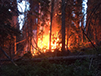 photo of the Riverbottom Fire smoking at the base of a conifer