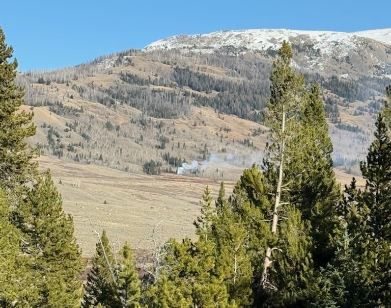 Mill fire burning a single tree seen from across the Green River. Trees in the foreground.