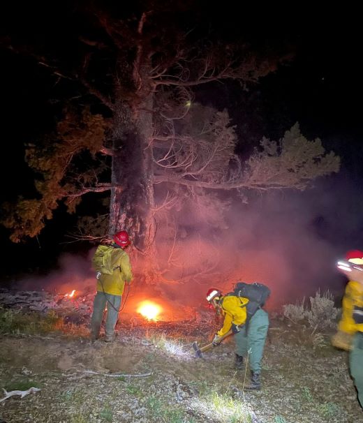 Firefighters work into the night to control fire spread and cool down a lightning-ignited tree.