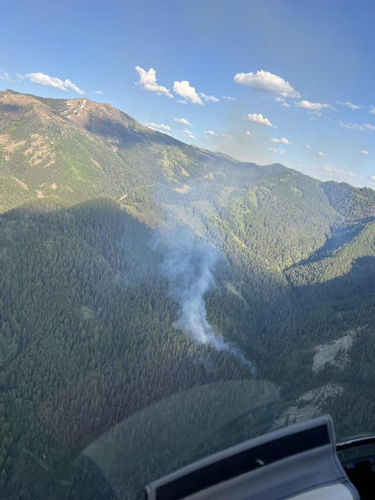 Porcupine fire white smoke column in midst of green timber along canyon.