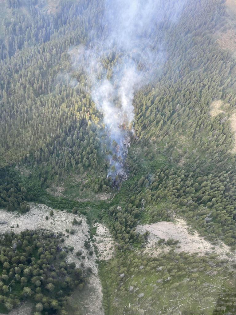 Porcupine fire wispy smoke column in heavy timber
