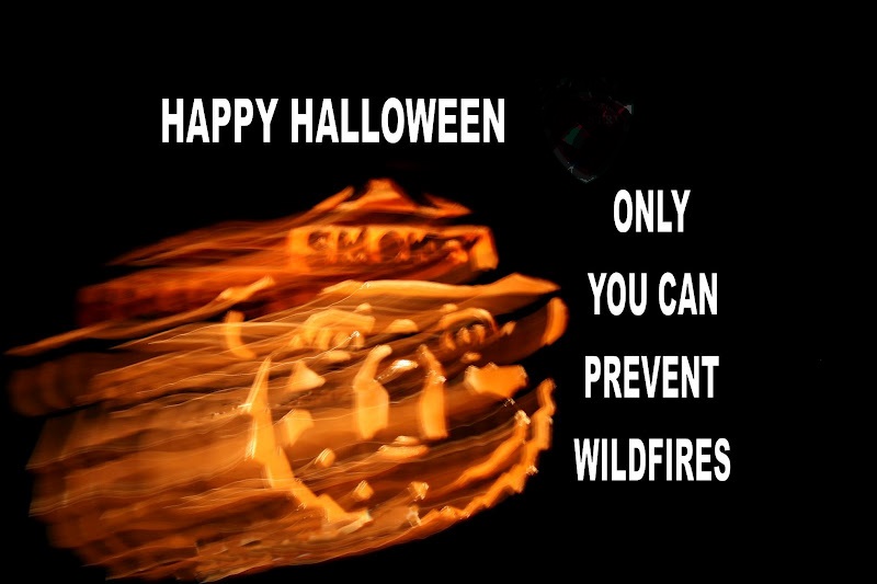 Smokey Halloween 2.jpg