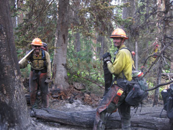 Sawyers at work in fuels unit.