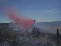 Flathead Hotshots watching an aircraft make a retardant drop.