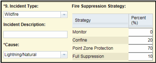 Block 9. Incident Type