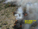 Burn Ridge in blowdown