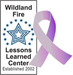 lessons learned center