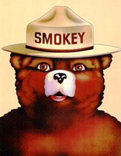 smokey bear